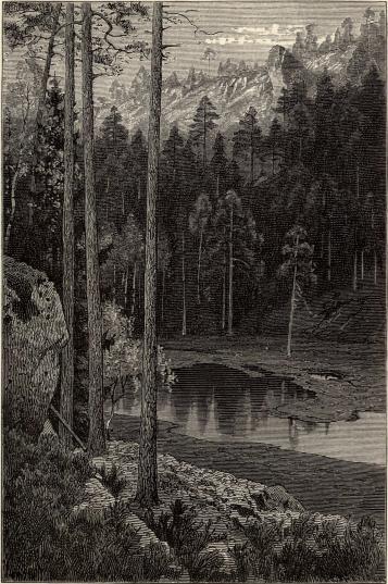 Skogstjärn.<b<smalTeckning af P. D. <span class=
