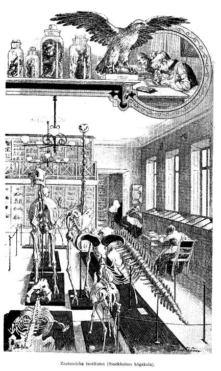 Zootomiska institutet (Stockholms högskola).