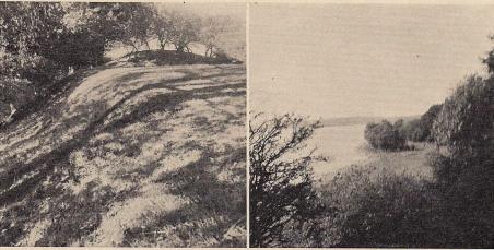 Fig. 1. Borren vid Börringesjön. T. v. den mot sjön stupande branta vallen, t. h.<butsikt från Borren över sjön mot Lindholm. — Foto: Thorsten Andersson 1938. Fig. 1. Borren vid Börringesjön. T. v. den mot sjön stupande branta vallen, t. h.<butsikt från Borren över sjön mot Lindholm. — Foto: Thorsten Andersson 1938.