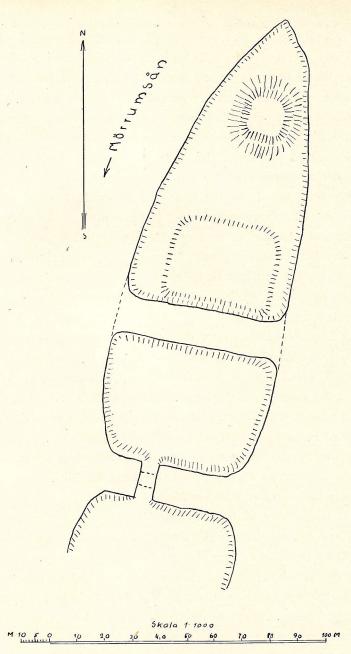 Fig. 10. Elleholm. Planteckning av P. H. Enger.