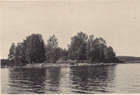 Fig. 15. Vy av Bosholm från söder. Foto: P. G. Vejde.