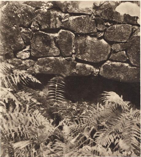 Det inre av Svaneholms borg med blick mot den öppning i muren, som fört från den<bnedersta våningen, vilken sannolikt varit en ursprungligen välvd kyrksal, till det<butanför borgrundeln framspringande halvrunda absidkoret. — Foto: Nils Olsson 1938.
