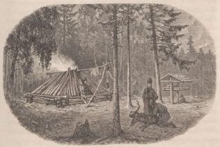 Fig. 3. Skogs-laps-viste vid Spänningsvallen mellan Seutser och Jerfo-jaure i Arvidsjaur.<bTill höger <span class=