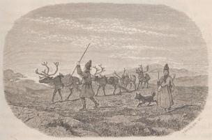 <smalIll. TÖRNBLOM, s. c.</smal<bFig. 26. Höst-flyttning på fjällen.