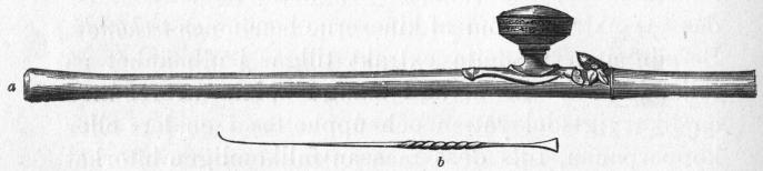 Bild 5. a, Yen-tsiang (»opiumpistol») eller pipa för rökning af opium.<b1/5 nat. storl. — b. Stålnål till anbringandet af tschandu. 1/3 nat. st.