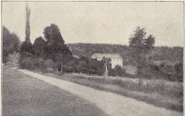 Vittvik