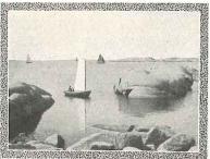 Från Bohuslänska skärgården.