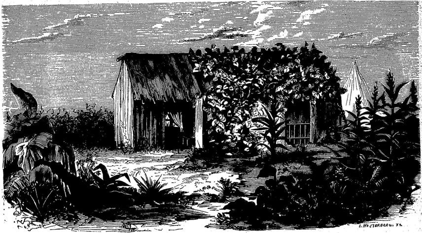 <smalxyl. E. WESTERBERG, X. A.</smal<bHuset i Eilet.