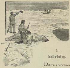 <smalIll. Eivind Nielsen</smal<bUnder Grønlands østkyst 1882.