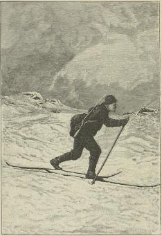 Skiløber paa sletten.<b(Efter fotografi af L. Szacinski.)<b