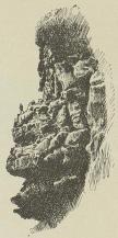 Færøisk fugleberg.<b(Af A. Bloch efter fotografi). Færøisk fugleberg.<b(Af A. Bloch efter fotografi).