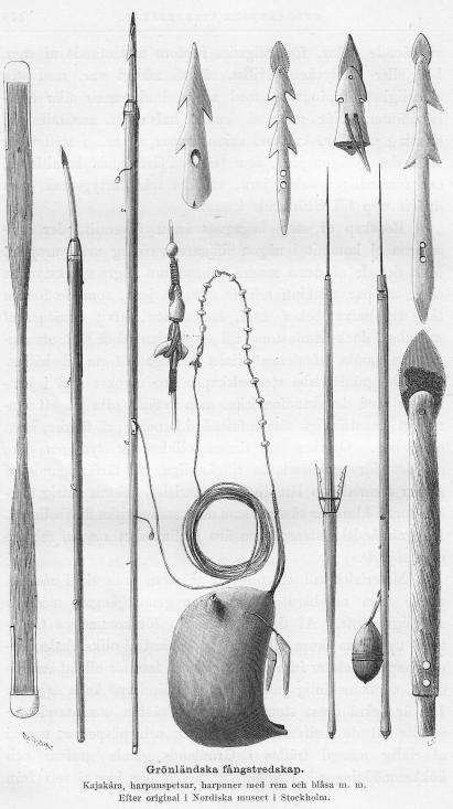 <smalIll. W. MEYER, X. A.                        O. S.[=Sörling]</smal<bGrönländska fångstredskap.<bKajakåra, harpunspetsar, harpuner med rem och blåsa m. m.<bEfter original i Nordiska museet i Stockholm.