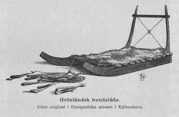 <smalIll. ER. 85</smal<bGrönländsk hundsläde.<bEfter original i Etnografiska museet i Kjöbenhavn.