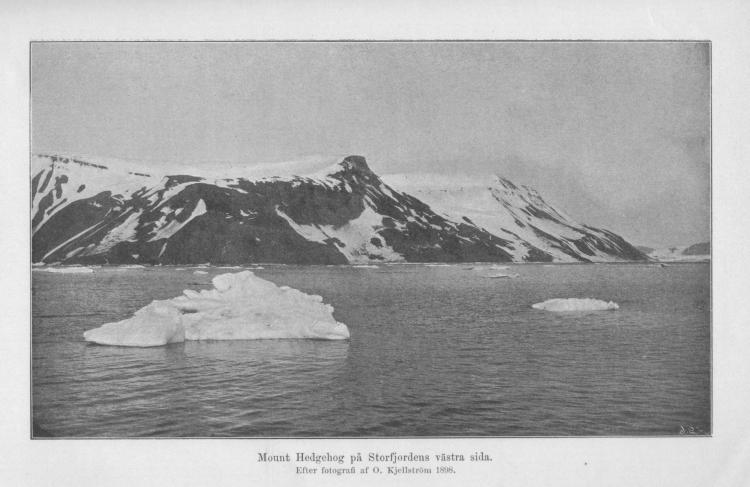 Mount Hedgehog på Storfjordens västra sida.<bEfter fotografi af O. Kjellström 1898.