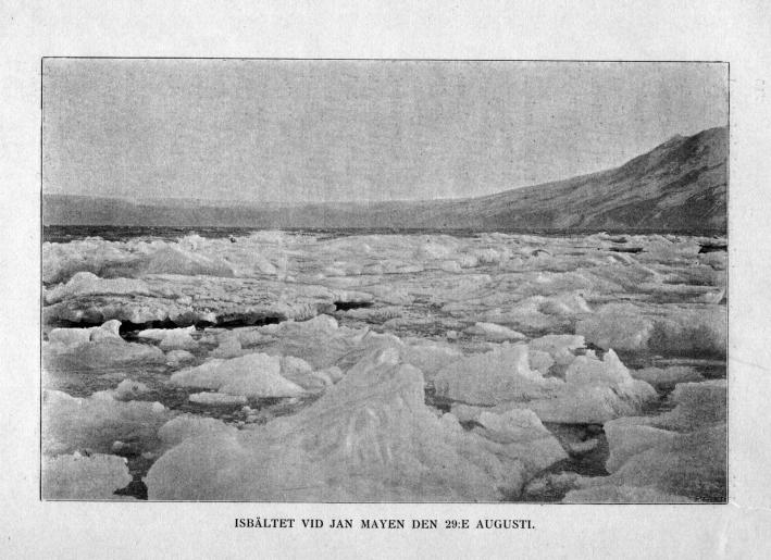 ISBÄLTET VID JAN  MAYEN DEN 29:E AUGUSTI.