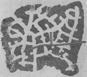 Bild 10. Arenaria. Bild 10. Arenaria.