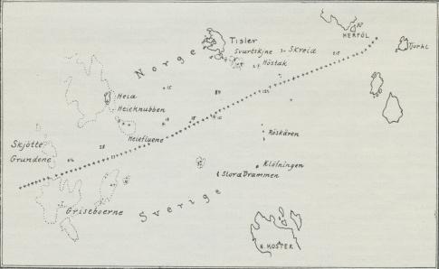 Situationsplan over Grisebaaerne.