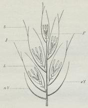 Fig. 2. Fig. 2.
