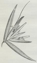Fig. 5. Fig. 5.