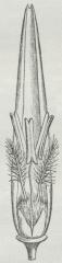 Fig. 6. Fig. 6.