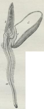 Fig. 8. Fig. 8.