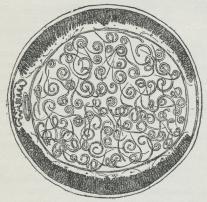 Fig. 2. Guinea-Orm, Tværsnit (for at vise Yngelen).