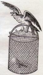 Høgekurv.