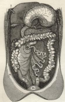 Fig. 3. Fig. 3.