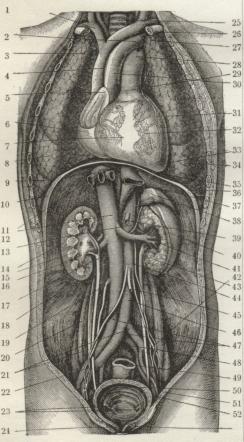 Fig. 4. Fig. 4.