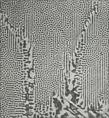 Fig. 2. Ledeburit (Cementitentektikum). 75 Gange<bforstørret. Cementit (lys og mættet Austenit (mørk)<bHurtig afkølet