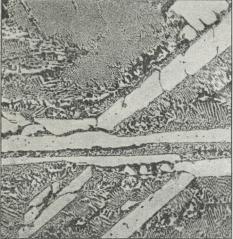 Fig. 4. Spejljern. 35 Gange forstørret.<bCementit (iys) i en Grundmasse af Ledeburit.