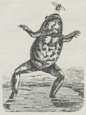 Fig. 2 (c. 1400—1500).
