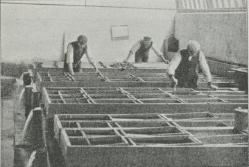 Fig. 5. Klækkehus (Lundgaard) med fire Rækker Bakker i hvert Bord.