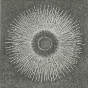 Fig. 2. Positiv Støvfigur.