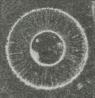 Fig. 3.<bNegativ Støvfigur.