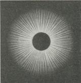 Fig. 5. Negativ fotografisk L. F.
