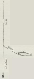 Fig. 5. Paternoster.