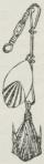 Fig. 6. Blink (Skedrag)<bmed Fjerdusk.