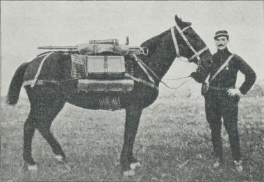 Fig. 7. Hotchkiss-Maskingevær paa Pakhest.