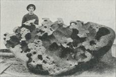 Fig. 1. Jernmeteor fra Willamette, Oregon.<bVægt: 13 1/2 t.