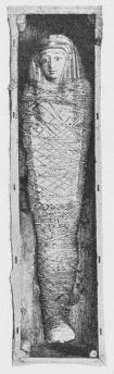 Fig. 4. Mumie med Maske (200 f. Kr.). 