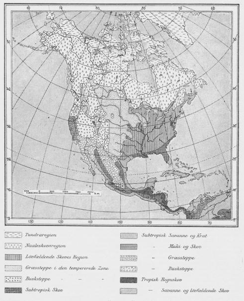 Nordamerikas Vegetationsregioner. (M. Vahl).