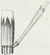 Fig. 4. Equis. arvense. Stængelstykke<bmed Bladskede og en enkelt Gren (4<bGange forstørret).