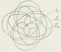Fig. 3. Hovedtræk af Atombygningen, skematisk.