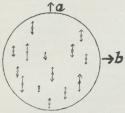 Fig. 3. Polariseret Lys.