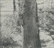 Fig. 2. Redekasse til Træløber.