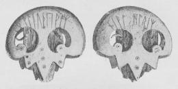 Fig. 3. Torsbjerg-Dupskoen (Slesvig).