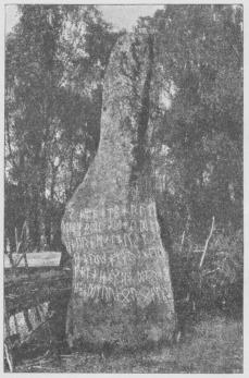 Fig. 7. Björketorp-Stenen. Hovedindskriften, der<bskal læses nedenfra opad, lyder: Fig. 7. Björketorp-Stenen. Hovedindskriften, der<bskal læses nedenfra opad, lyder: