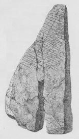 Fig. 14. Helnæs-Stenen (Fyn). Fig. 14. Helnæs-Stenen (Fyn).