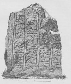 Fig. 19. Skovlænge-Stenen (Laaland).